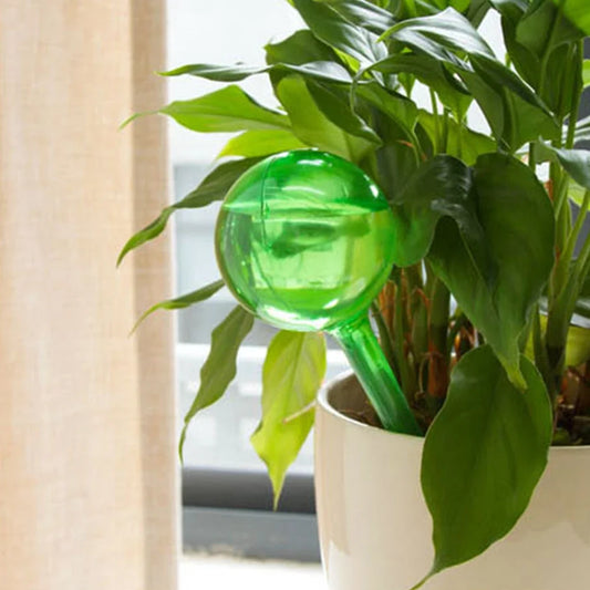 Self Watering Globes (1 x Plant Waterer)