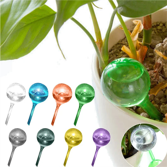 Self Watering Globes (1 x Plant Waterer)